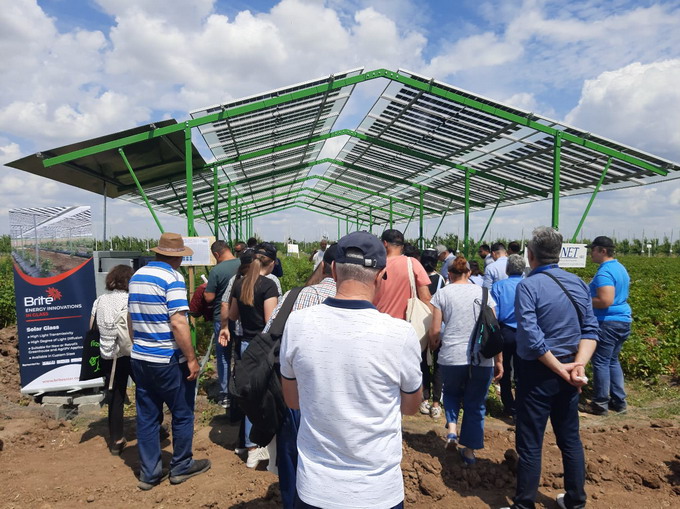 Agrivoltaics - InterNET SRL si SCDP Baneasa dezvolta un proiect agrivoltaic la cultura de capsuni - foto3