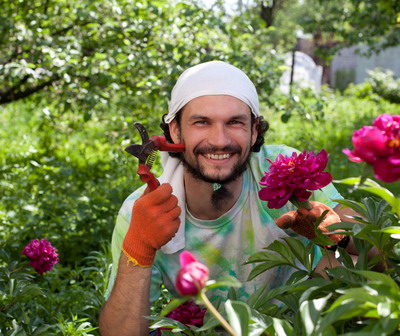 Meseria de gradinar, din ce in ce mai atractiva