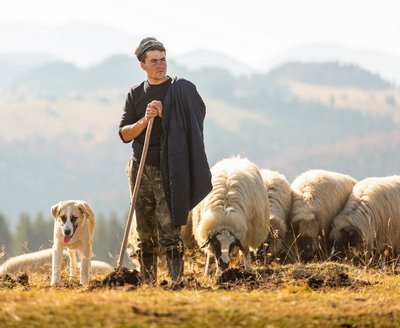 Via Transilvanica si Calauzele Apelor (Delta Dunarii) castiga cele mai importante premii pentru patrimoniu din Europa in 2023