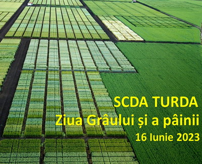 Ziua Graului si a Painii la SCDA Turda 16 iunie 2023