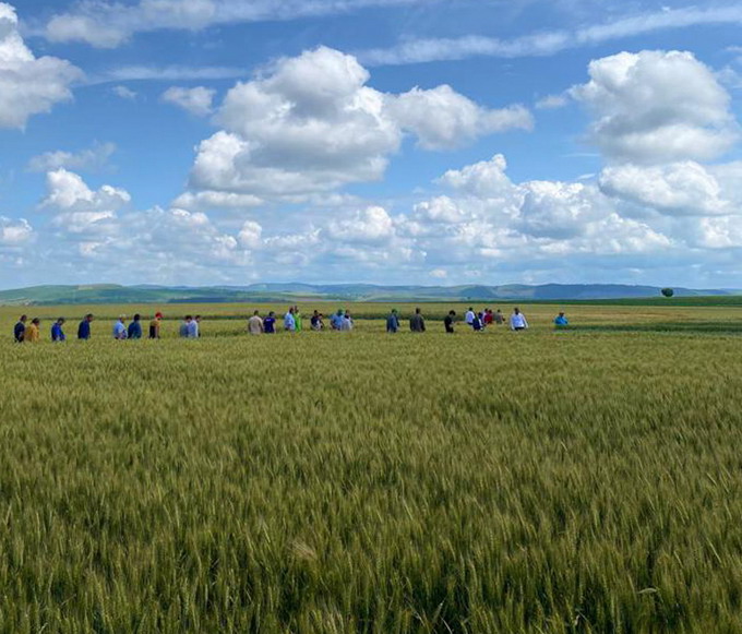 Ziua portilor deschise CTS Ludus 2