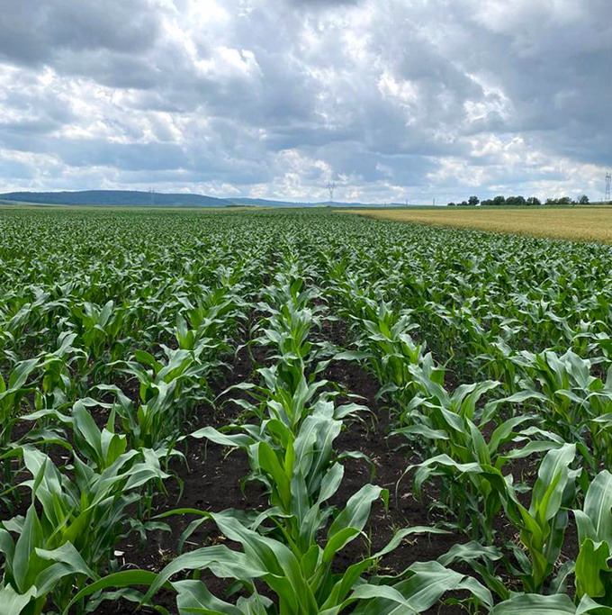 Ziua portilor deschise CTS Ludus 3