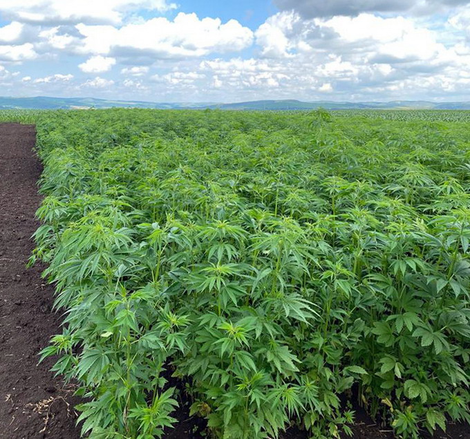 Ziua portilor deschise CTS Ludus 5