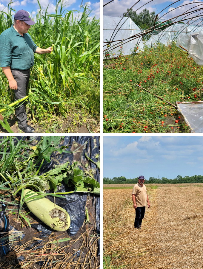 Agra Asigurari - Timis - pagube