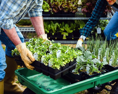 Audit al sprijinului UE pentru agricultura ecologica din Romania, Italia, Austria si Polonia