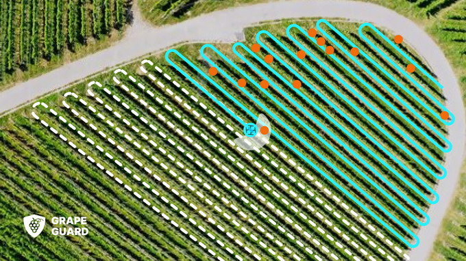 Drona Grape Guard AI vita de vie 2