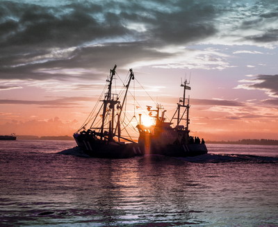 Aspectele discutate de reprezentantii sectorului pescaresc cu ministrul agriculturii