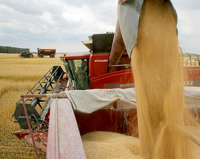 Bulgaria, Ungaria, Polonia, Romania si Slovacia solicita prelungirea masurilor UE asupra importurilor agricole din Ucraina