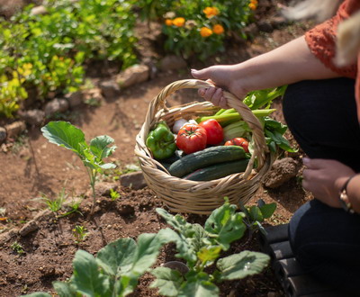 Festivalul European Bio – Polovragi, jud. Gorj, 31 august – 3 septembrie 2023