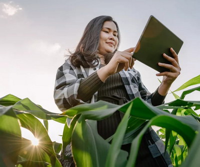 SAP sprijina agricultura cu solutii de ultima generatie pentru recolte sporite