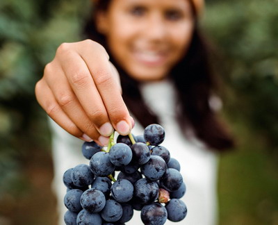 Viitorul agriculturii ecologice in Romania depinde de tanara generatie