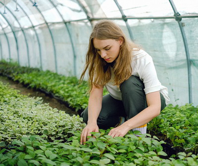 Ajutorul pentru legume in spatii protejate continua si in extrasezon (toamna/iarna 2023-2024)