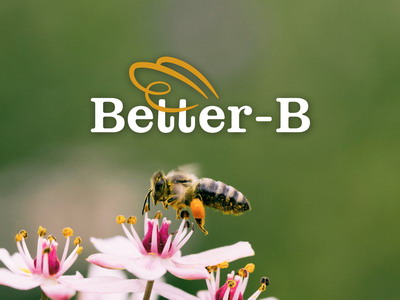 Proiectul Better-B adapteaza practicile moderne de apicultura la tehnologiilor apicole avansate