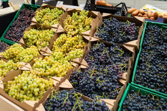 Carrefour Romania - parteneriat cu sase noi cooperative agricole - foto 4