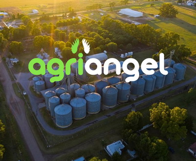 Agriangel, compania specializata in fumigarea cerealelor si DDD, urmareste dublarea cifrei de afaceri
