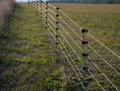 4 solutii eficiente de protectie a proprietatilor impotriva ursilor