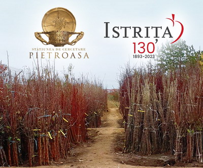 Oferta de pomi fructiferi pentru toamna anului 2023 | SDCDVP Pietroasa-Istrita