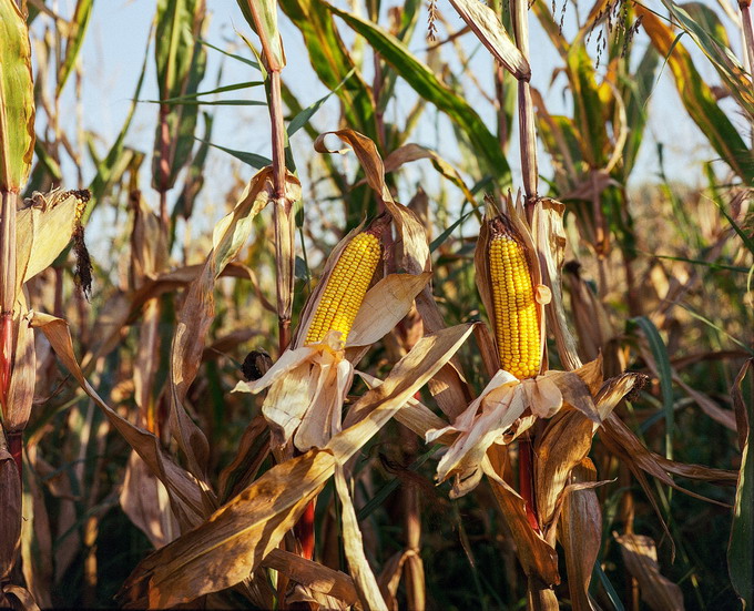 Solutii de asigurare traditionale si inovatoare pentru schimbarile climatice - eveniment Aon Romania