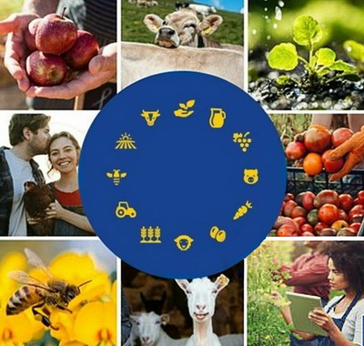 CE aproba modificarile aduse Planului Strategic PAC al Romaniei 2023-2027