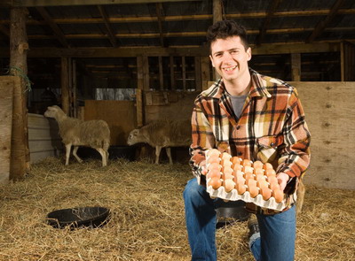 Din 20 dec. 2023 se lanseaza sesiunile pentru investitii in sectorul zootehnic si in procesare