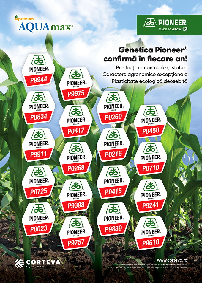 Hibrizii de porumb Pioneer - Macheta