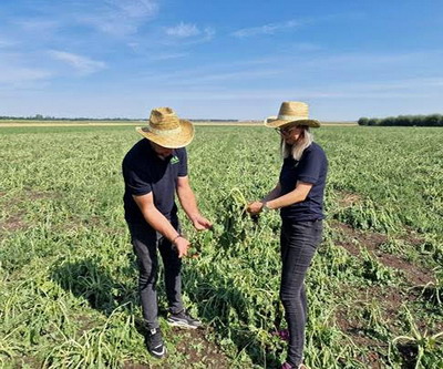 Necesitatea asigurarilor agricole in contextul schimbarilor climatice