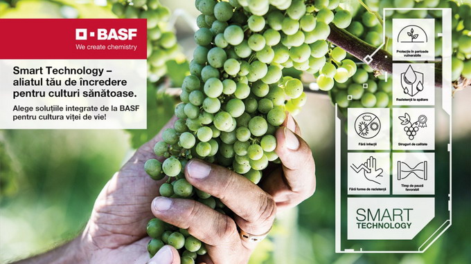 Smart Technology - Struguri