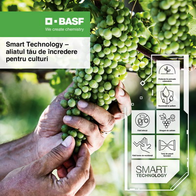 Tehnologie inteligenta pentru struguri de calitate