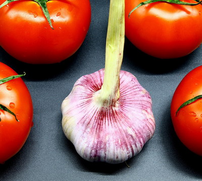 Ajutor financiar pentru culturile de cartofi, tomate si usturoi