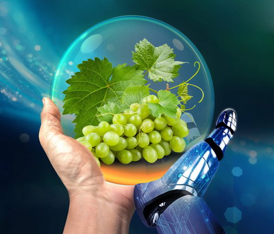 Descopera Smart Technology de la BASF – solutia pentru protectia vitei de vie