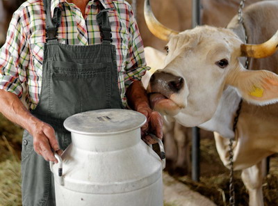S-au epuizat fondurile pentru procesare, ferme de bovine, ovine-caprine si pasari de curte
