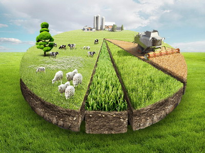 Plafonul alocat Ajutoarelor Nationale Tranzitorii [vegetal si zootehnic]