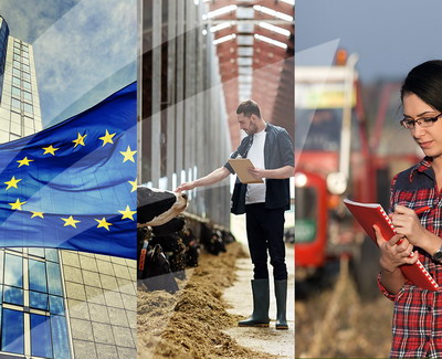 100 de tineri fermieri au absolvit a V-a serie a programului “Tineri Lideri pentru Agricultura”