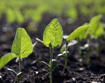 Produse biologice inovatoare introduse pe piata din Romania si Republica Moldova