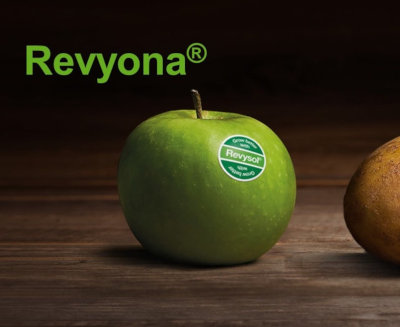 Descoperă fungicidul de ultimă generație pe bază de triazoli – Revyona®!