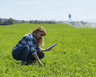 Cultivarea succesului pentru fermieri cu solutii digitale in agricultura