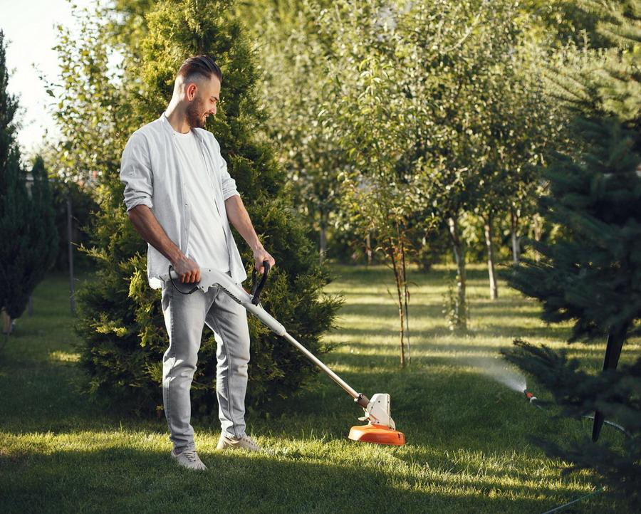 Mentinerea gazonului verde si sanatos - lucrari ingrijire gazon