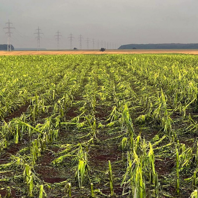 Agra Asigurari - fenomene meteorologice extreme