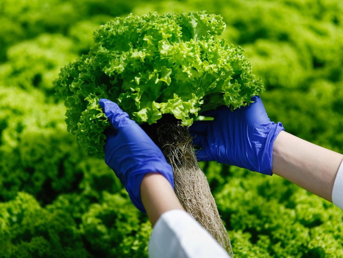 Beneficii produse bio in agricultura