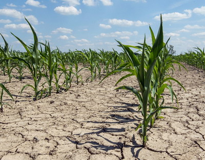 Seceta: provocarea secolului 21 în agricultură. Soluții și tehnologii inovatoare pentru adaptarea la schimbările climatice