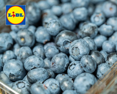 5 producători români au exportat în Ungaria și Polonia afine și zmeură în valoare de aproape 1 mil. euro cu sprijinul Lidl România