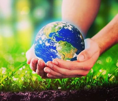 O nouă analiză relevă legătura crucială dintre calitatea solului și sănătatea umană