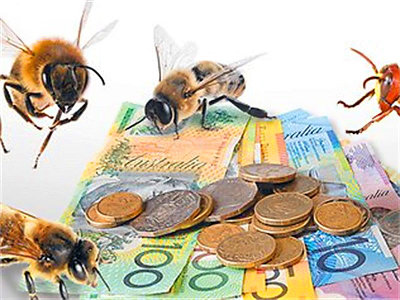 Sectorul apicol: au fost depuse cereri de plată pentru o sumă de peste 86 milioane de lei