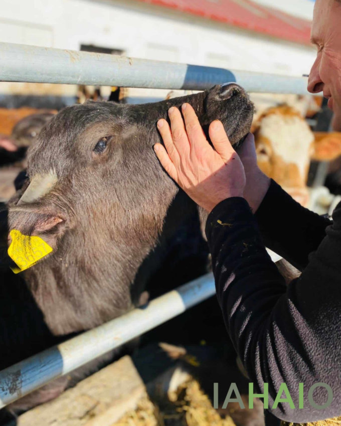 Conferinta internationala IAHAIO 2024 - foto 2