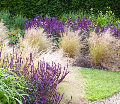 Cum să Transformi Grădina ta cu Iarbă Ornamentală