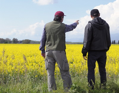 Fermierii campioni la rapiță din județele Brașov și Covasna