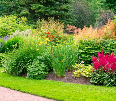 Plante Perene Rezistente Iarna: Alegerea Ideală pentru o Grădină Frumoasă pe Tot Parcursul Anului