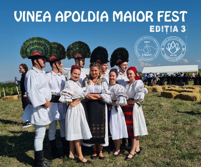 Vinea Apoldia Maior Fest 2024, la Apoldu de Sus. Oaspeții sunt așteptați cu bucate tradiționale, vinuri din podgoria proprie și spectacole