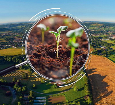 Digitalizarea agriculturii ecologice: un pas esențial către sustenabilitate și eficiență