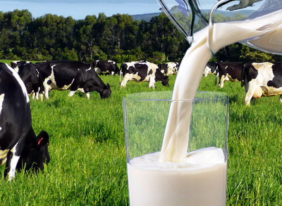 A avut loc prima reuniune a Consiliului Laptelui – grup consultativ pentru sectorul bovinelor de lapte